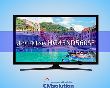 삼성 비즈니스TV: HG43ND560SF